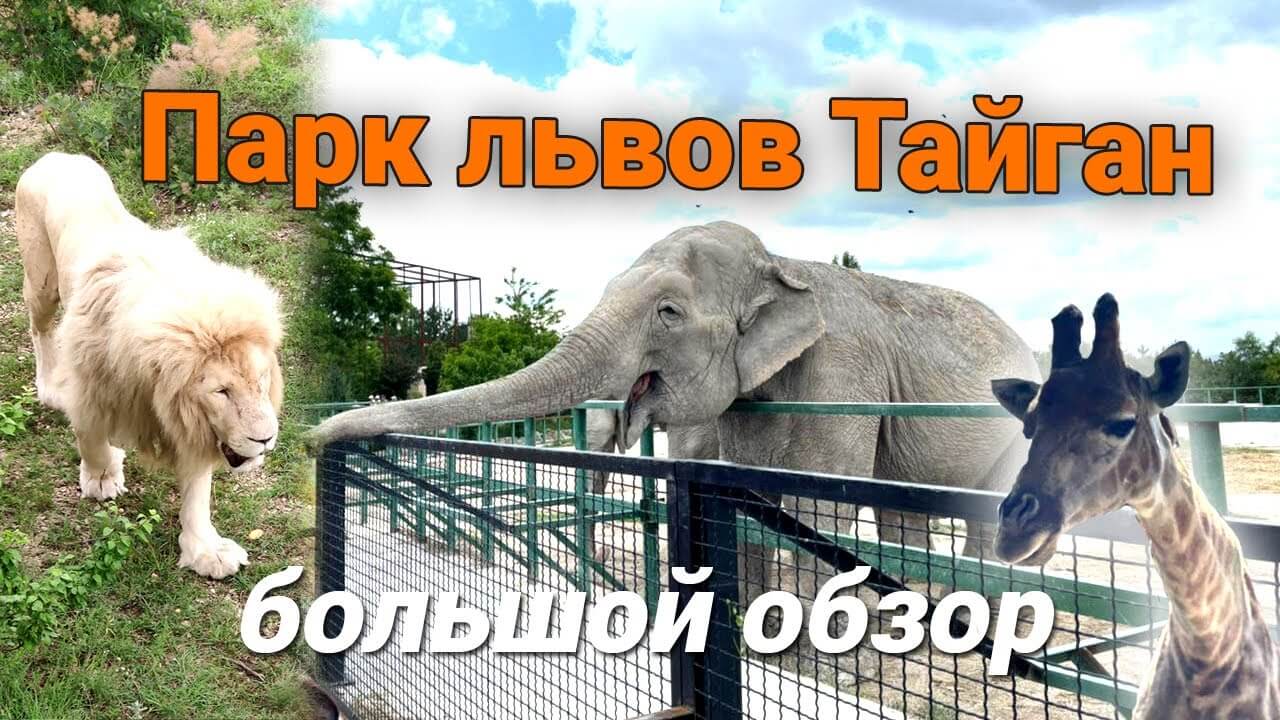 Экскурсия в парк львов Тайган и животный мир Крыма